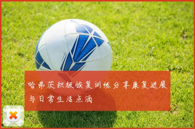 哈弗茨积极恢复训练分享康复进展与日常生活点滴