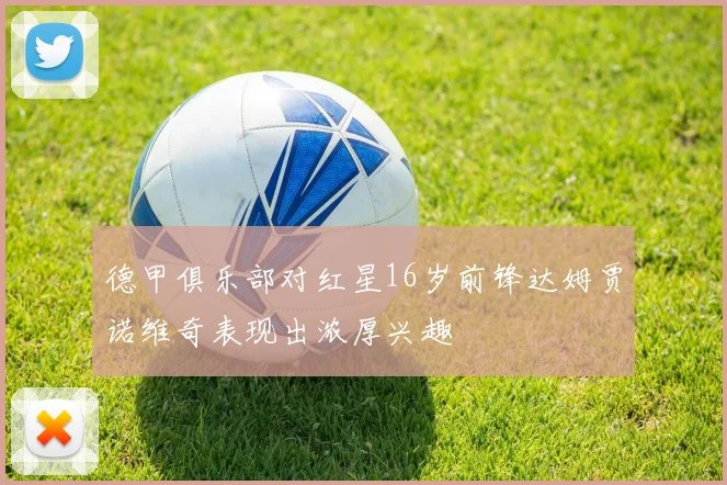 德甲俱乐部对红星16岁前锋达姆贾诺维奇表现出浓厚兴趣